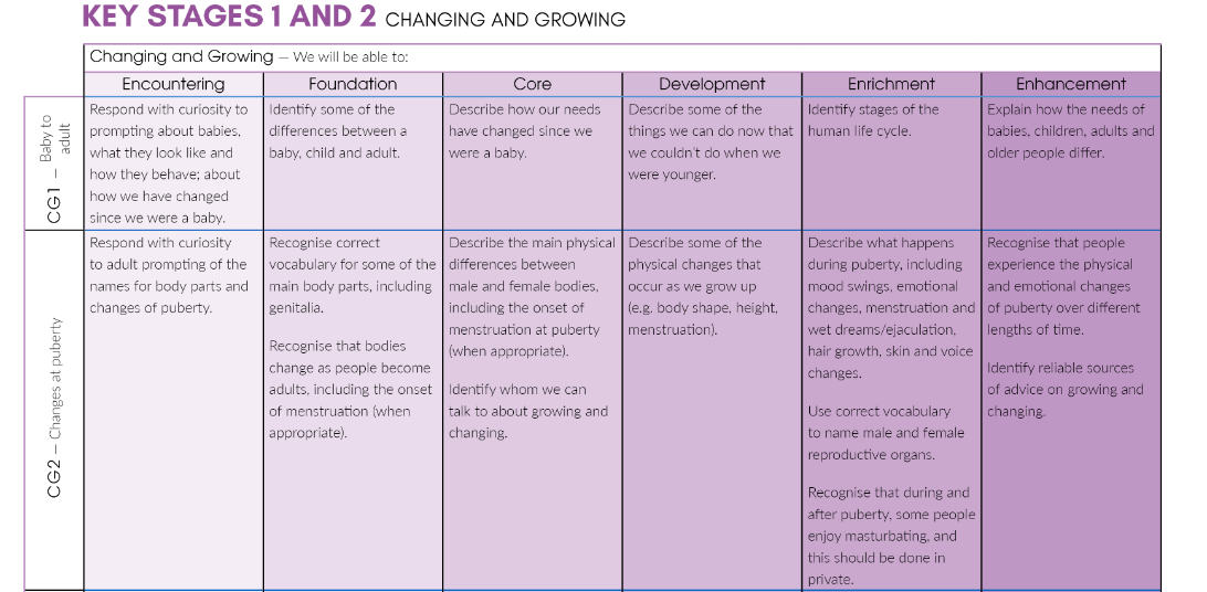 How To Plan A PSHE Curriculum For Pupils With SEND   Pic 1 